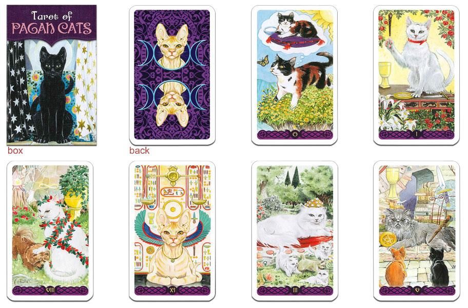 ✨新品✨TAROT OF PAGAN CATS タロットオブ ペイガンキャッツ - その他