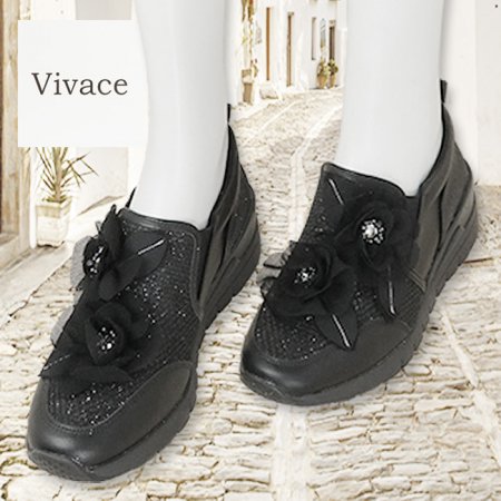 塼 ӥС Vivace VI80005ݹ