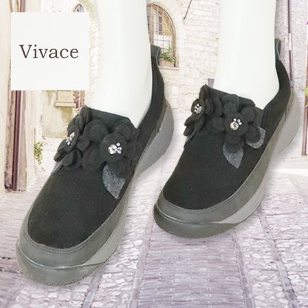 塼 ӥС Vivace VI80022ݹ