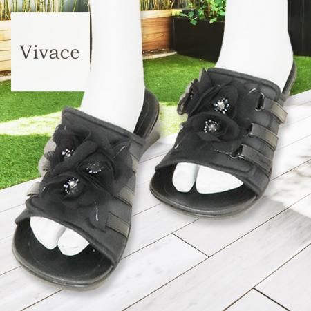  ӥС Vivace VI80066ݹ