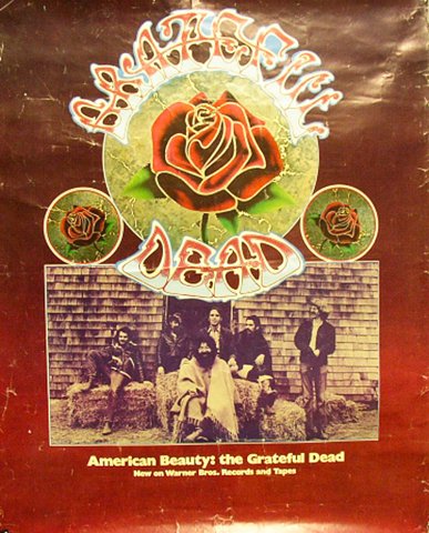 Grateful Dead - American Beauty 1970 Babydoll on White - Bear's