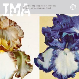 Mixed by grooveman Spot [ IMA #22 ] MIX CD