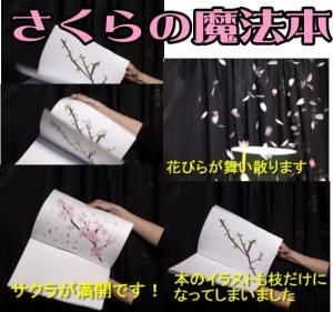 手品屋 手品屋