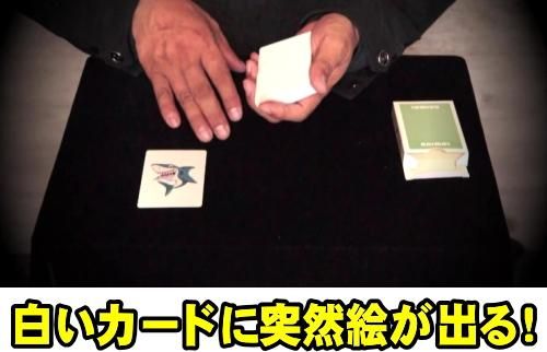 アンビシャスカードのトリに！ BARKING DOG カード 手品