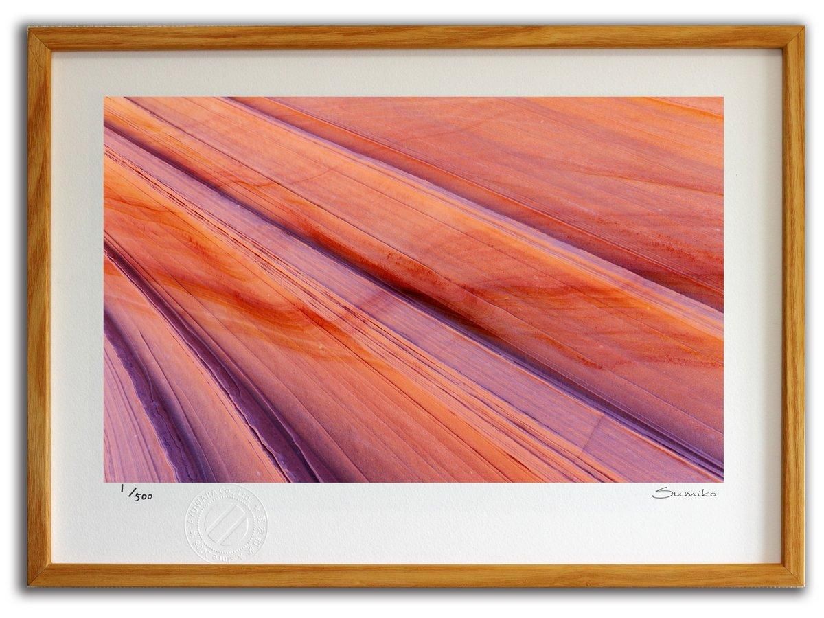 【版画 絵画】ザ ウエーブ - コヨーテビュート・ノース2(スミコ スコット)/インテリア 壁掛け 額入り アート アートパネル アートフレーム