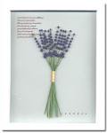 《プラント　アートフレーム》lavender（ラベンダー）