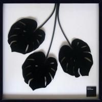 《リーフパネル》Monstera deliciosa(モンステラ デリシオサ)