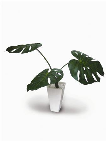 人工観葉植物 造花 Monstera Deliciosa Gr モンステラ デリシオサ 絵画や壁掛け販売 日本唯一の風景専門店 R あゆわら