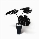 Կ͹տʪ¤֡Monstera Deliciosa/BK(󥹥ƥ ǥꥷ)