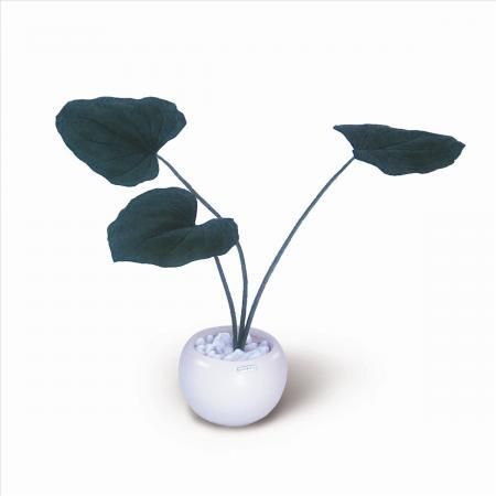 《人工観葉植物・造花》Hosta.cv(ギボウシ/擬宝珠)