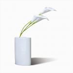 Կ͹տʪ¤֡Calla(顼)