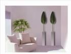 Կ͹տʪStrelitzia Leaf(ȥ)
