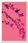 《X-Ray（X線）　アートフレーム》Butterfly Blossom（バタフライ　ブロッサム） Steven N.Meyers