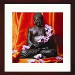 ԥȥե졼Stephane de Bourgies / Buddaha fleuri