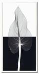 X-Ray(X)ȥե졼Calla Leaf II(oversize)(顼꡼) Steven N.Meyers