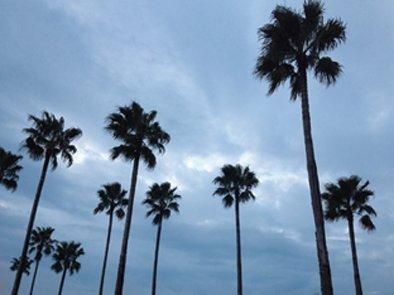 【キャンバスパネル】アートパネル カリフォルニア1