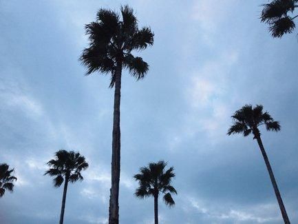 【キャンバスパネル】アートパネル カリフォルニア2