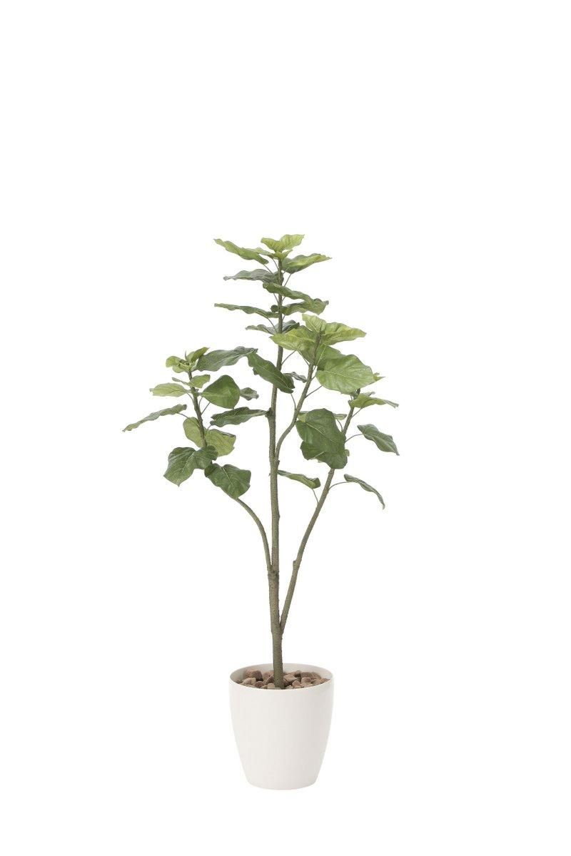 【光触媒観葉植物】ウンベラータツリー1.5〔フロアタイプ(ハイサイズ)〕/光触媒 観葉植物 ウンベラータ フェイクグリーン 花 胡蝶蘭 開店祝い 開業祝い 誕生祝い 造花 アートフレーム おしゃれ