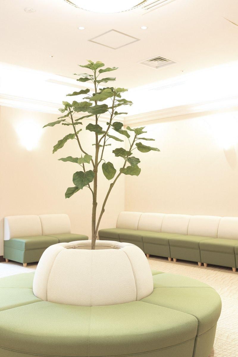 【光触媒観葉植物】ウンベラータツリー1.5〔フロアタイプ(ハイサイズ)〕/光触媒 観葉植物 ウンベラータ フェイクグリーン 花 胡蝶蘭 開店祝い 開業祝い 誕生祝い 造花 アートフレーム おしゃれ
