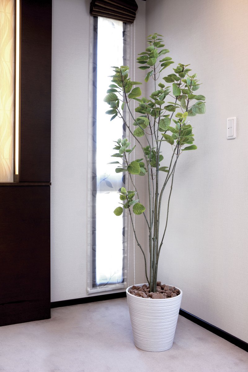 光触媒　人工観葉植物　フェイクグリーン　アーバンブランチウンベラータ1.8m