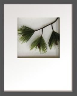 《リーフアート》Hana concept frame Pine pick III(松3)