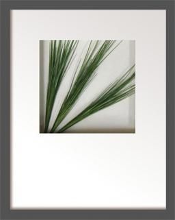 《リーフアート》Hana concept frame Grass spray(芝生の束)