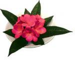 《造花・花瓶》F-style vase Plumeria　Pink（プルメリアベース/ピンク）