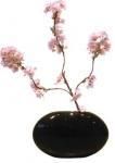 ¤֡ӡF-style vase Cherry blossom()