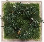 ԥ꡼ե졼ShibafuWreath 6( ꡼6)