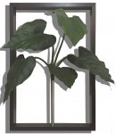 《リーフパネル 絵画》F-style Tuinie Calocusia Leaf(エフスタイル ツイーニー コロカシアリーフ)