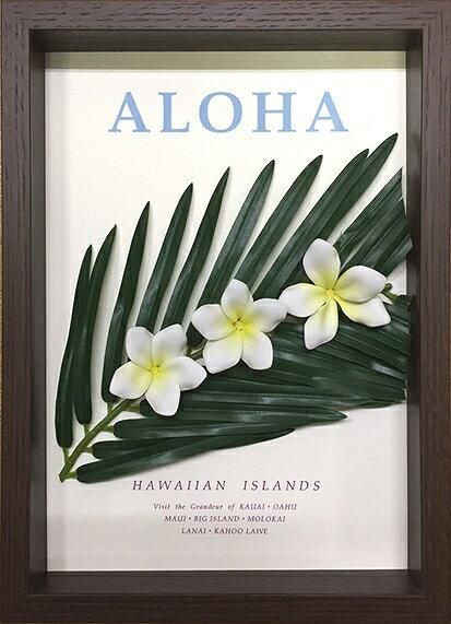 《フラワーフレーム》Aloha Frame(アロハ フレーム)(ゆうパケット)