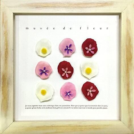 《ハーブフレーム》Musee de Fleur(ミュゼ ド フルール)