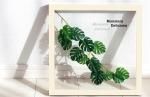 ԥ꡼եѥͥForest Deco Monstera Deliciosa3(󥹥ƥ ǥꥷ)ۥ磻ȥե졼