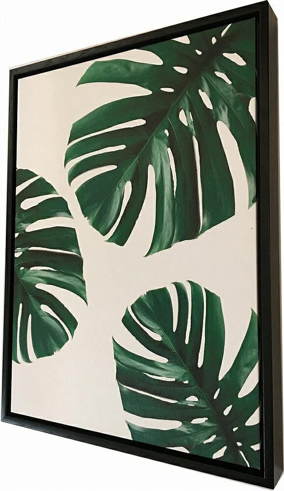 《キャンバスパネル》プラントファイル モンステラ2 (PLANT FILE Monstera 2)