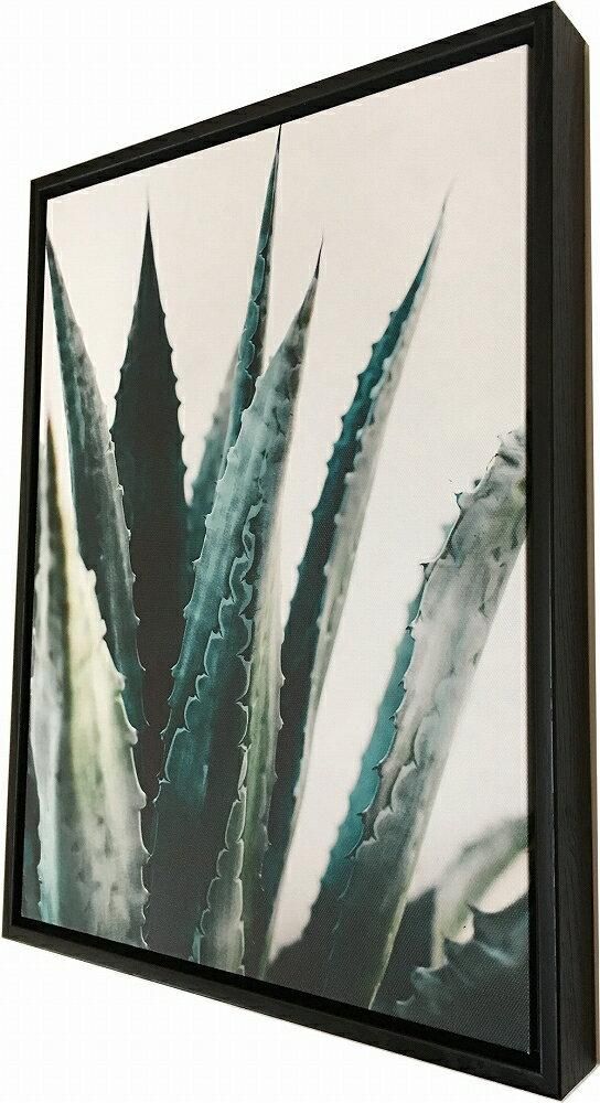 《キャンバスパネル》プラントファイル アガベ (PLANT FILE Agave)