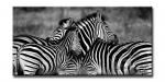 ԥХȡեХ󥹥L ֥(URBAN STYLE L CANVAS ART Zebra-Mono)