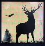 ԥȥե졼ե󡦥ƥ Х󡦥ǥ2(Hens Teeth Urban Dear II)