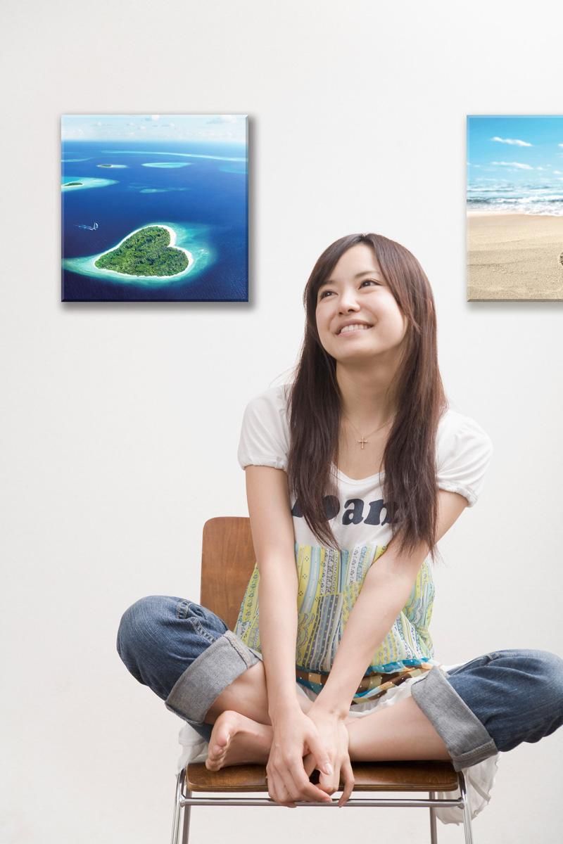 《キャンバスアート》プチキャンバスアート バタフライ 300x300mm(Petit Canvas Art)