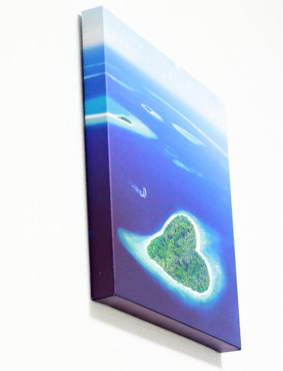 《キャンバスアート》プチキャンバスアート バタフライ 300x300mm(Petit Canvas Art)
