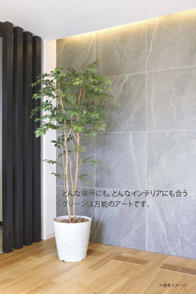 光触媒観葉植物 シェフレラ1.6 〔フロアタイプ〕 インテリア 部屋に