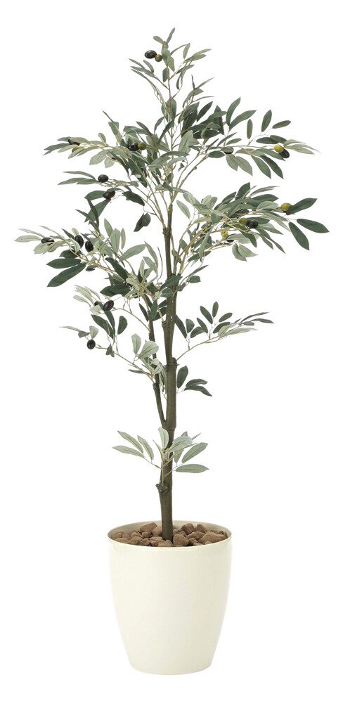 光触媒観葉植物 オリーブツリー1.3 〔フロアタイプ〕 インテリア