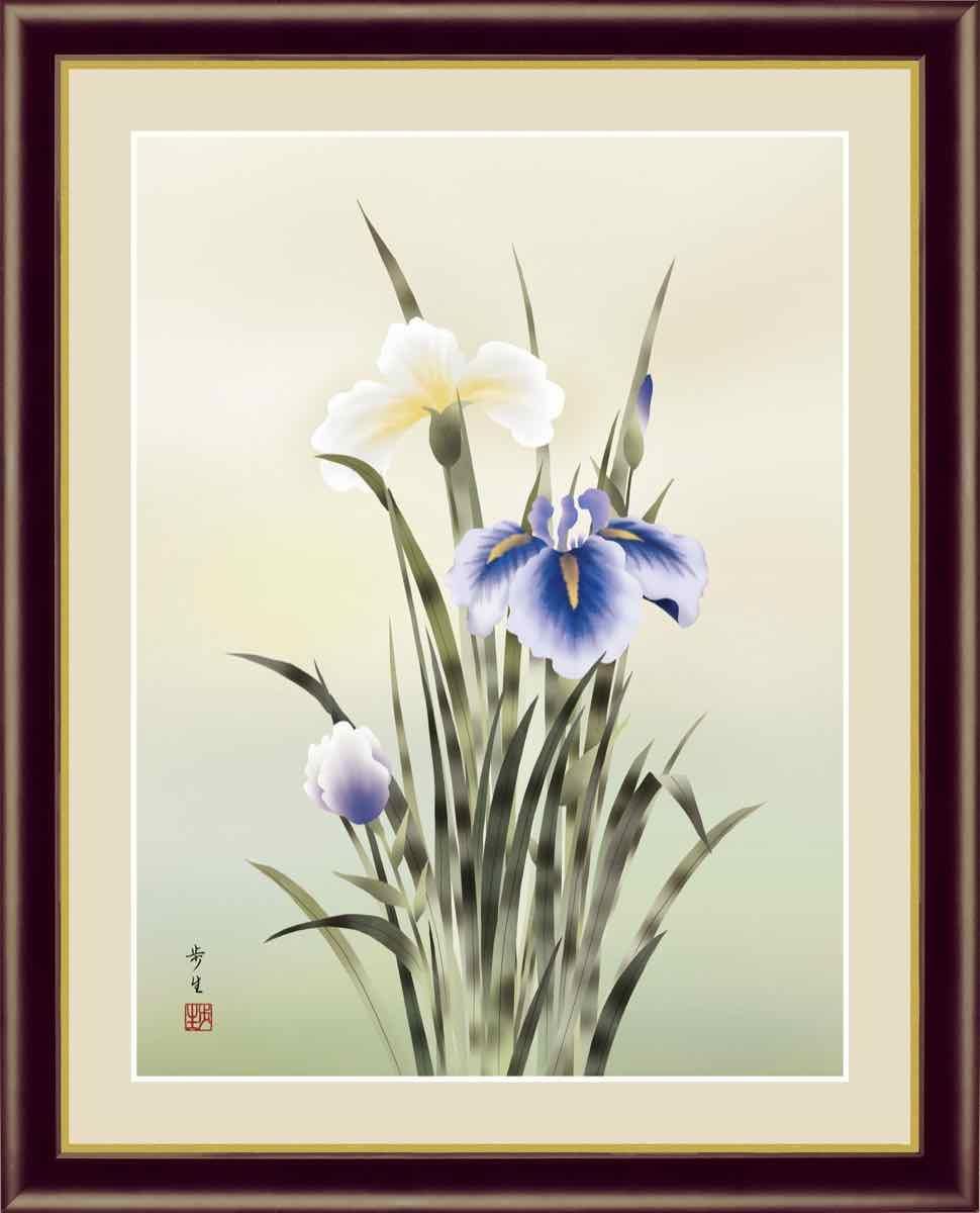 日本画 花鳥画 夏飾り 菖蒲(あやめ) 北山 歩生 手彩仕上 高精細巧芸画 ゆうパケット Sサイズ