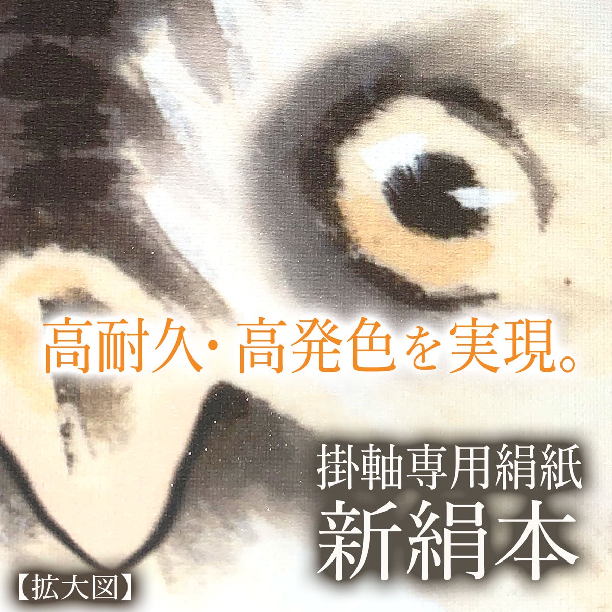 10年保証 掛け軸 開運画 開運観音 龍上白衣観音 井川 洋光 尺五 桐箱