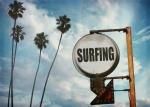 ԥХȡե䥷ڤȥե󥵥(surfing sign with palm trees) ꡼(Carino) 700x500mm