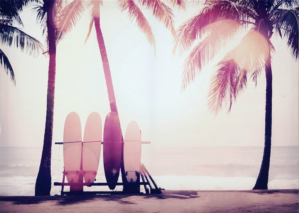 キャンバスアート》サーフボードとヤシの木(Surfboard and palm tree