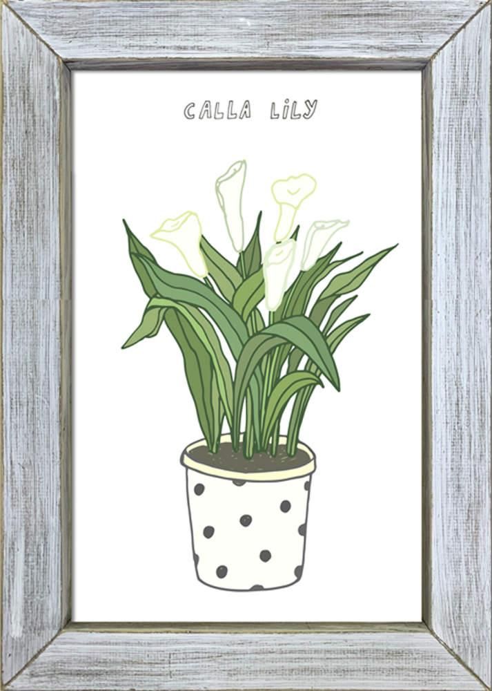 《絵画》ホームプラントカラーリリー