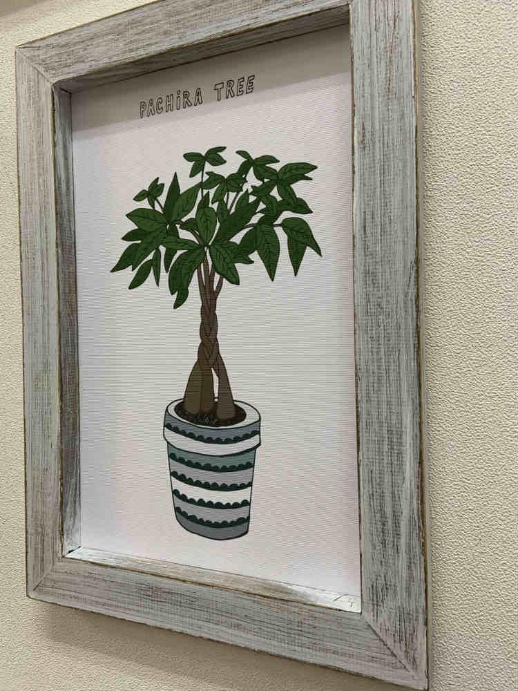 《絵画》ゆうパケット ホームプラントサボテン