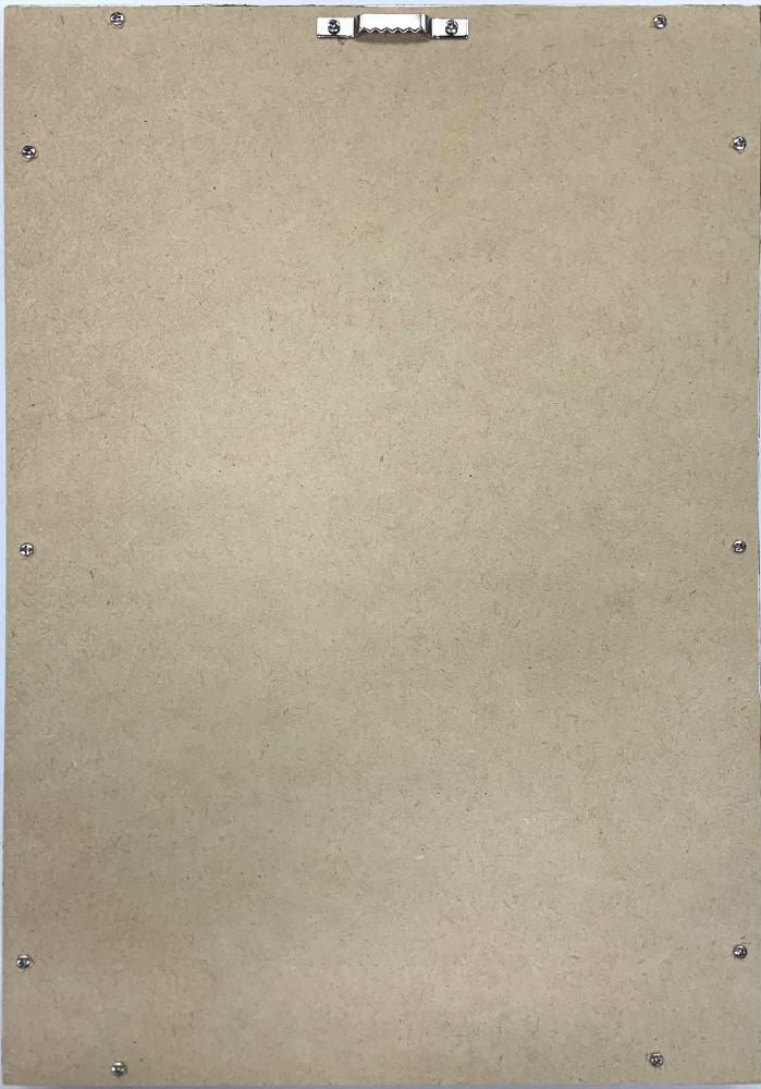 《絵画》ゆうパケット ホームプラントオリヅルラン