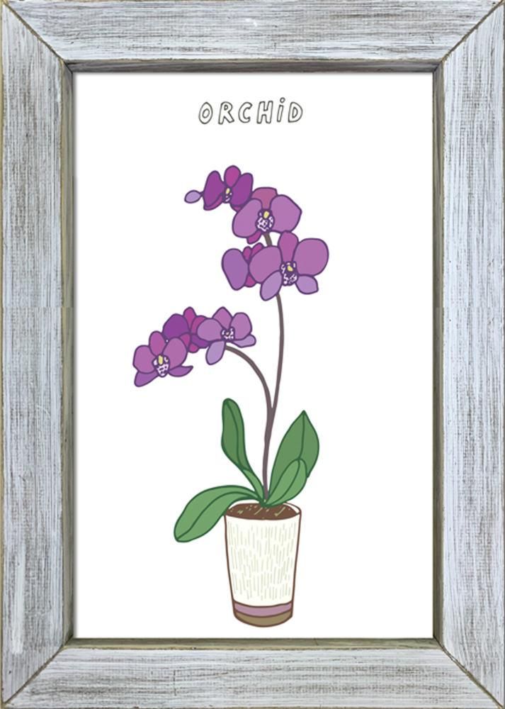 《絵画》ホームプラントラン