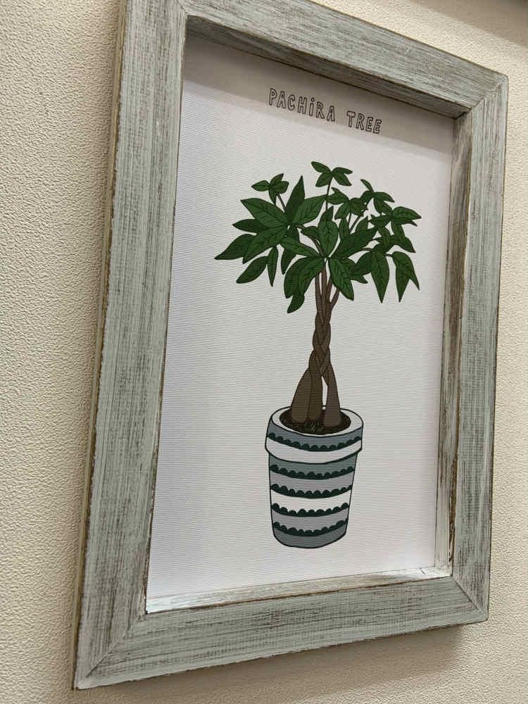 《絵画》ホームプラントサボテン